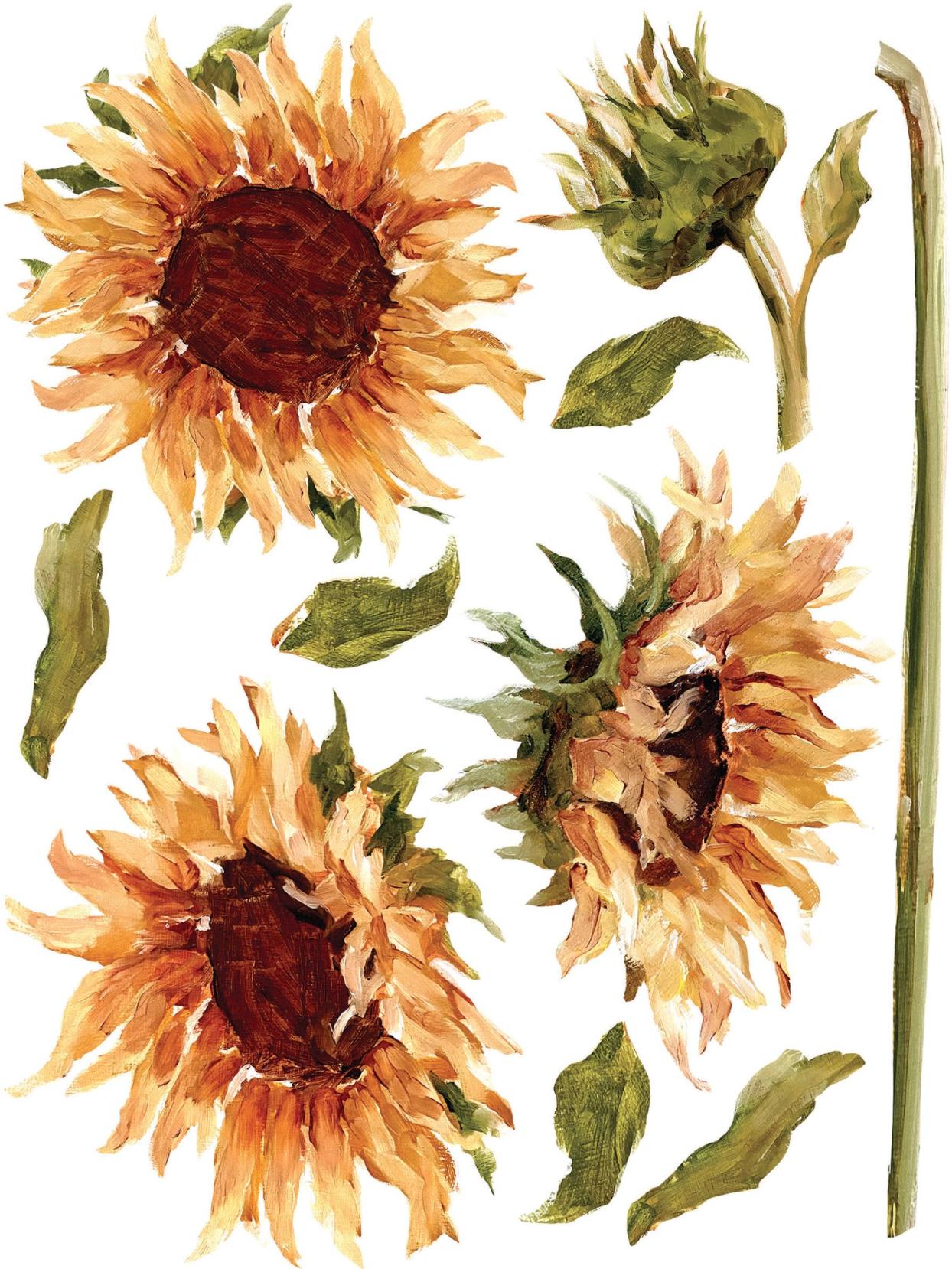 IOD Décor Transfer Painterly Florals