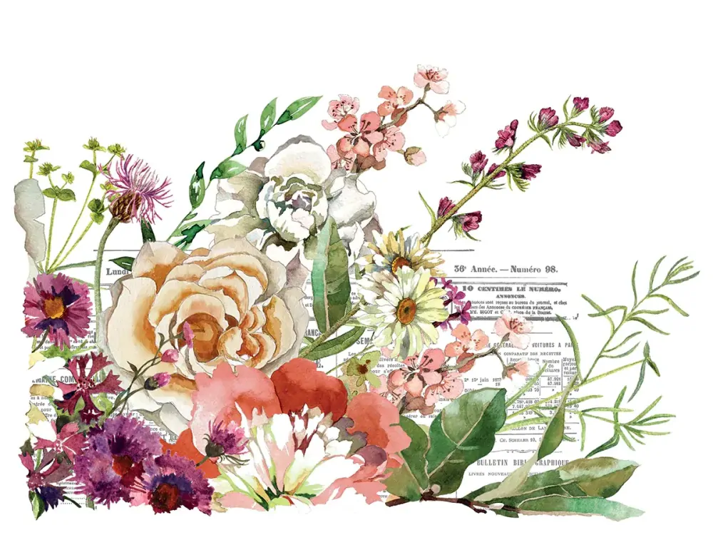 IOD Décor Transfer ELYSIUM